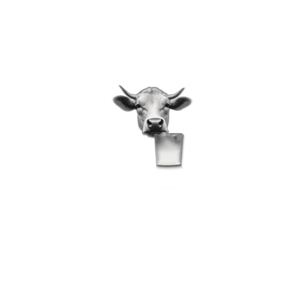 A tej folyékony tehén